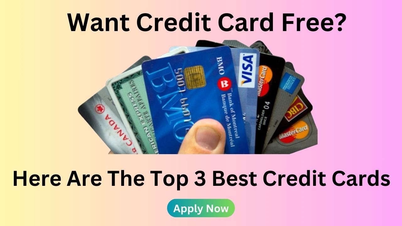 Top 3 Best Credit Cards For New International Student In Canada